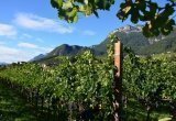 pizzolhof-eppan-21